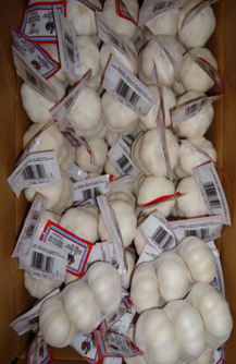 Badania nad wpływem handlu importem czosnku z Chin na ekwadorski rynek czosnku